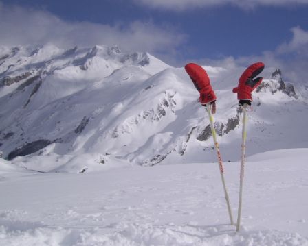 SSA47393.JPG, fév. 2010 SSA47393.JPG