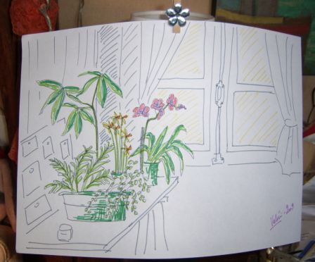 SSA45266.JPG, fév. 2010 SSA45266.JPG