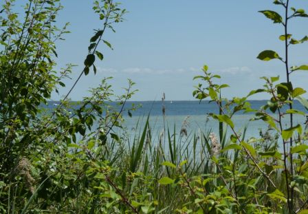 P1000409.JPG, juil. 2010 P1000409.JPG