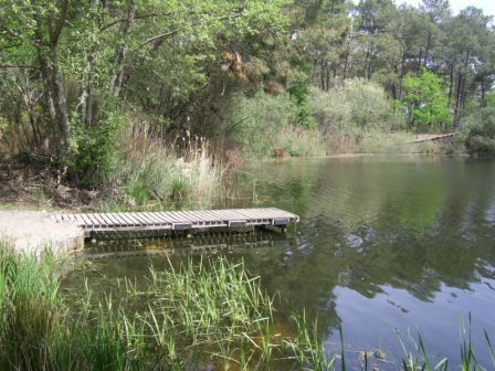 SSA47972.JPG, juin 2010 SSA47972.JPG