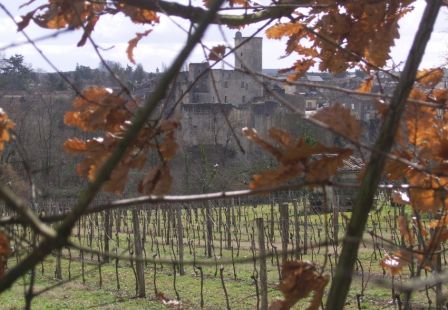 SSA47465.JPG, mar. 2010 SSA47465.JPG