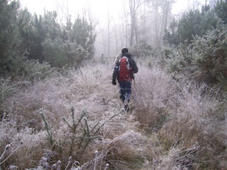 SSA47235.JPG, fév. 2010 SSA47235.JPG